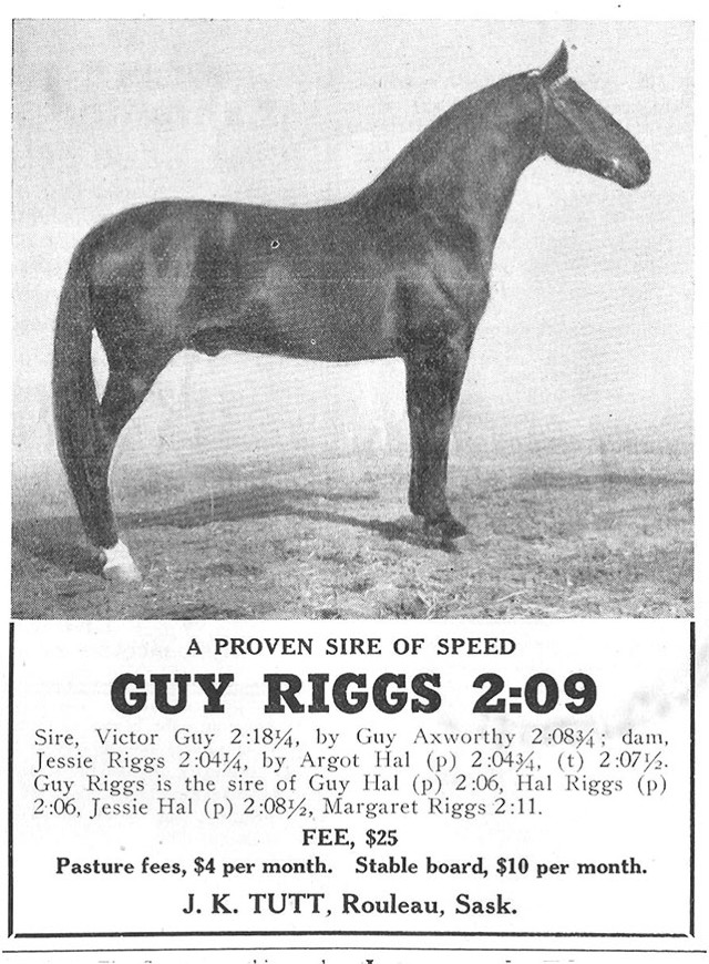 Guy Riggs ad