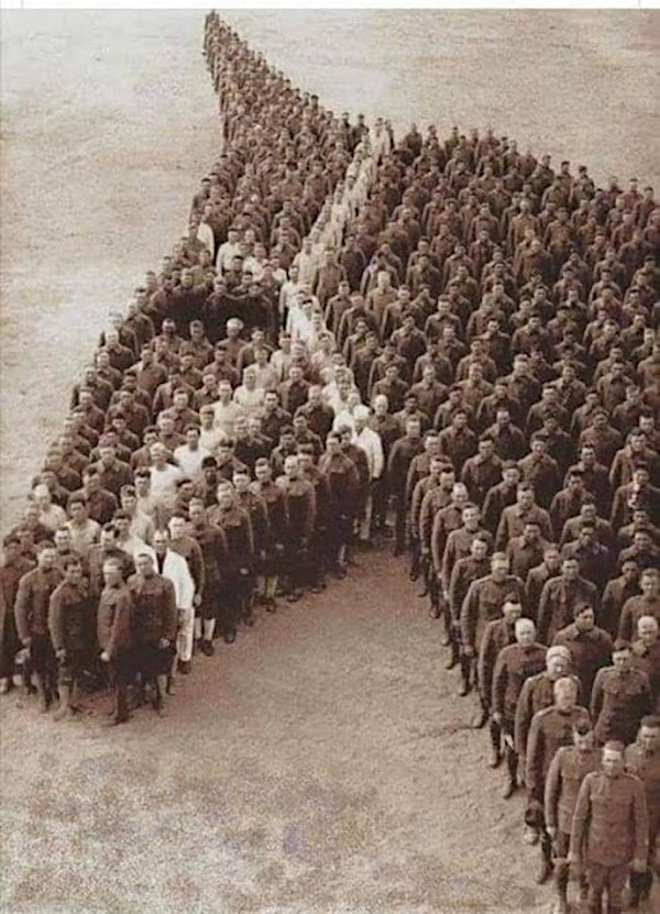 WWI horse