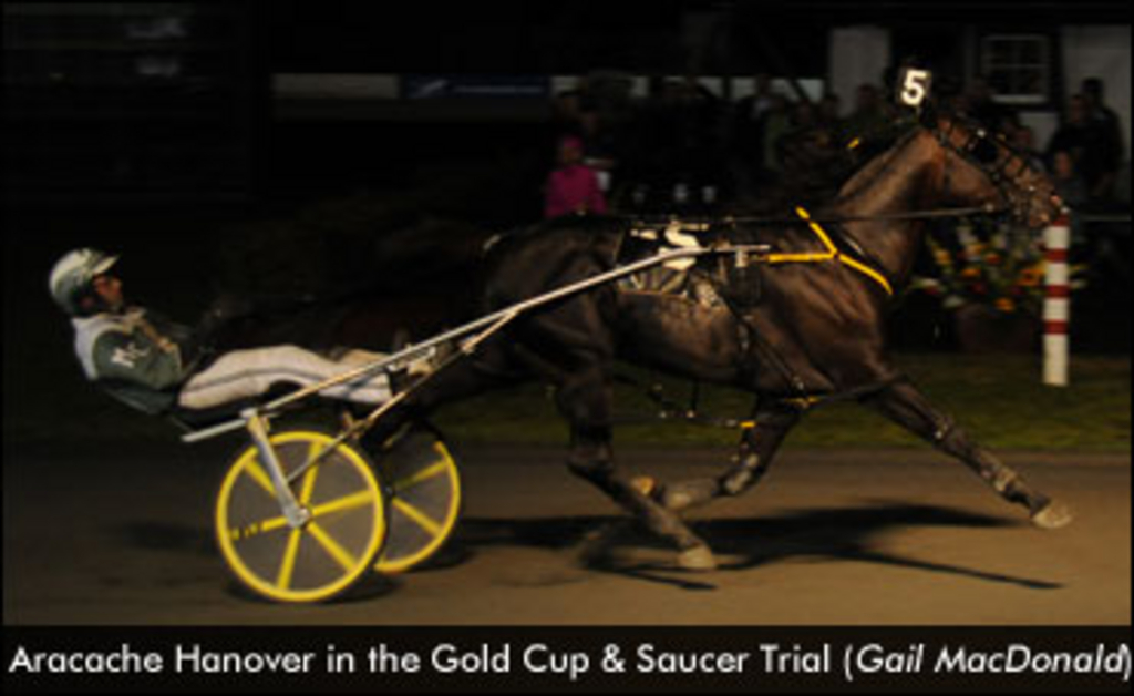 AracacheHanover-GoldCupTrial-GailMacDonald-edit.jpg