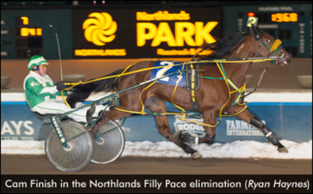 CamFinish-NorthlandsFillyPaceElim-RyanHaynes-edit.jpg