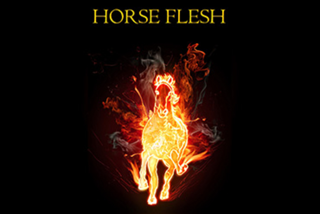Horse-Flesh-Cover-370.jpg