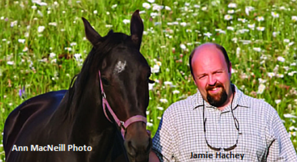 Jamie Hachey Horse Racing New Brunswick.jpg