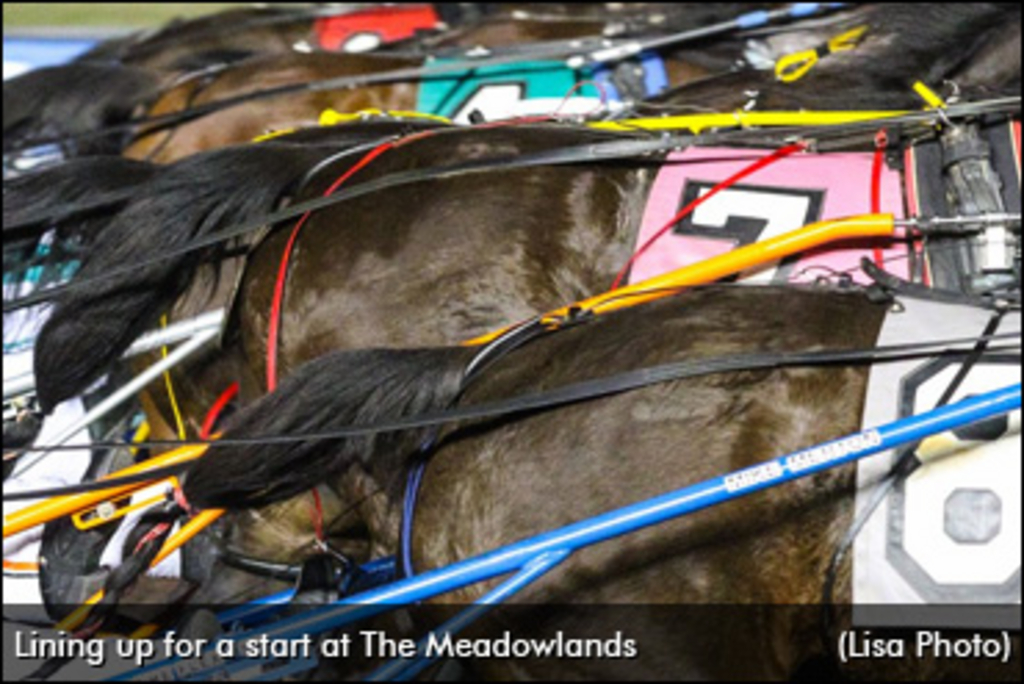 Meadowlands-Tails-Numbers-370px.jpg