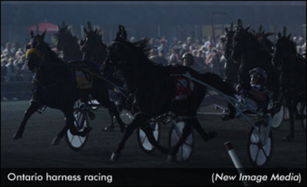 Racing-Dark-NewImage-edit2.jpg
