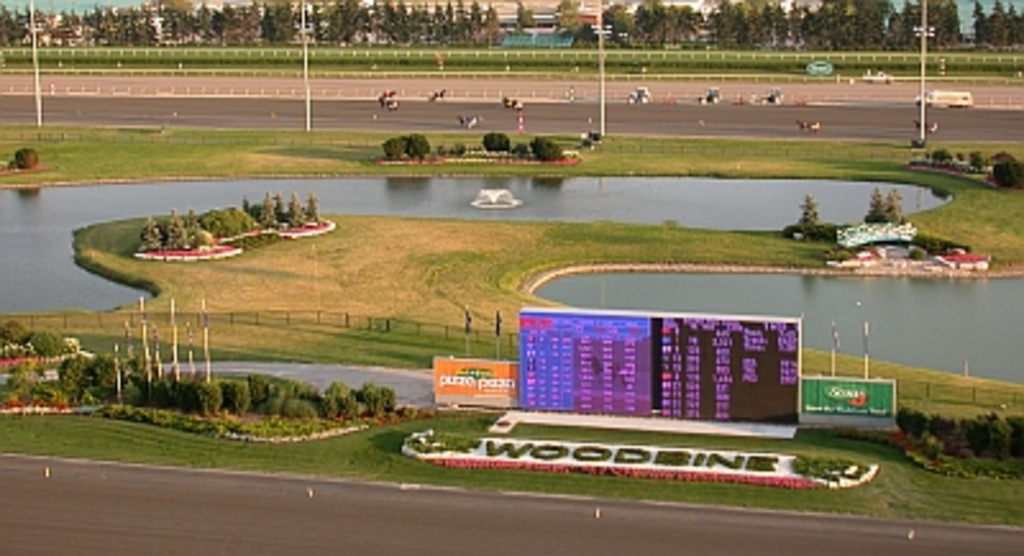 Woodbine Racetrack (From Roof).jpg