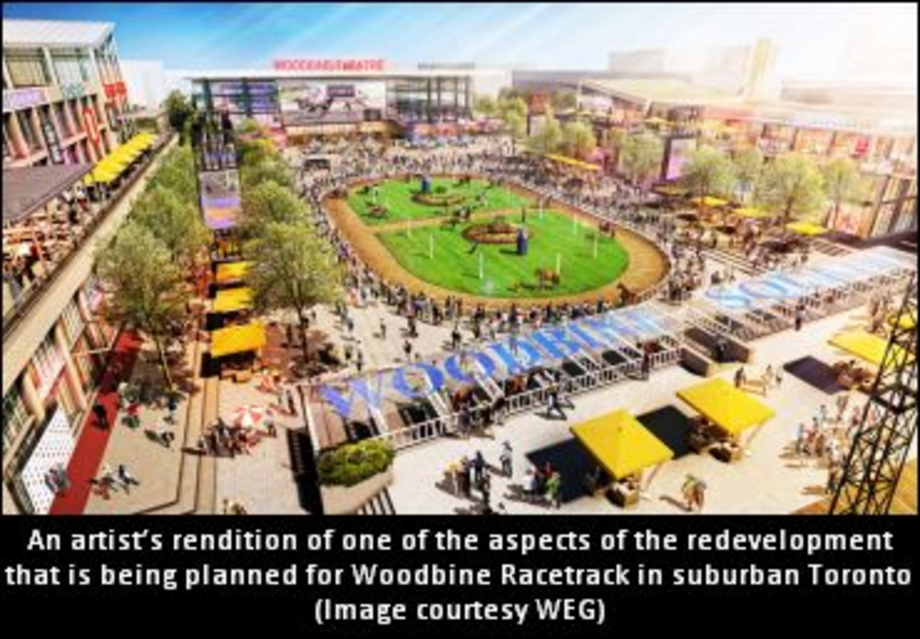 WoodbineSquare(Small)-.jpg