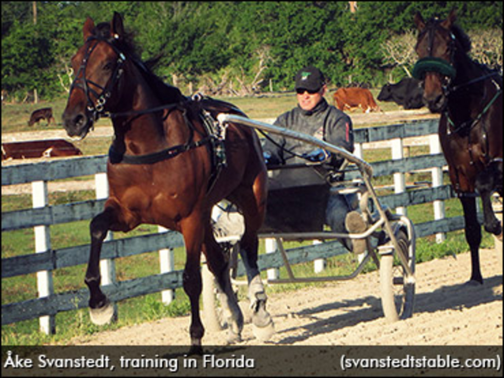 ake-svanstedt-florida-training.jpg