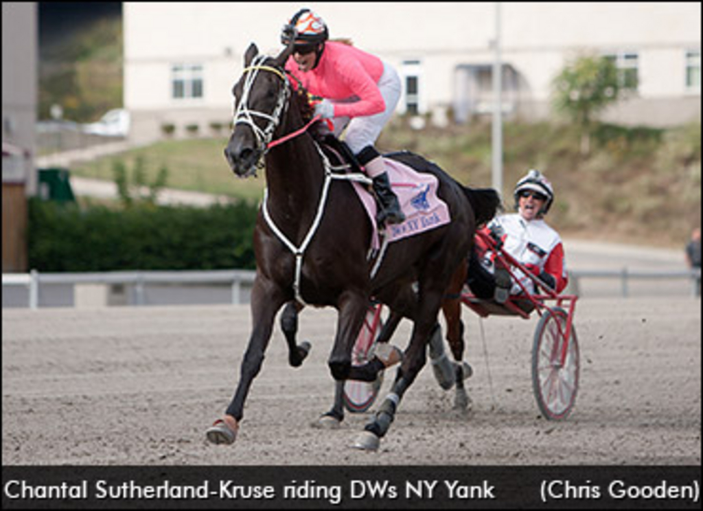 chantal-sutherland-under-saddle.jpg