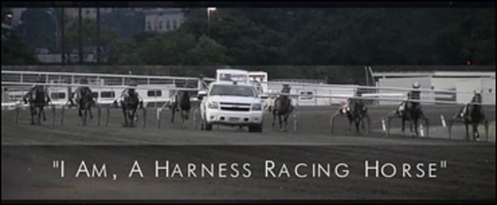 iam-harness-racing-horse.jpg