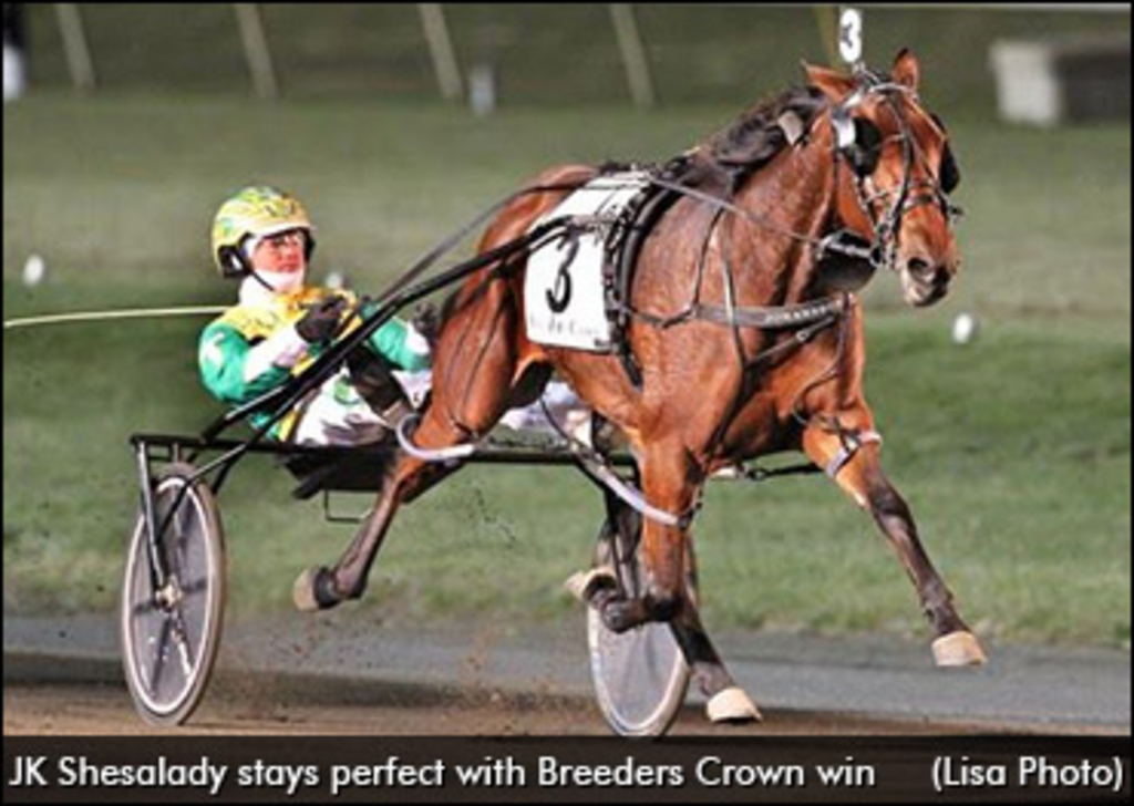 jk-shesalady-2014-breeders-crown-370.jpg