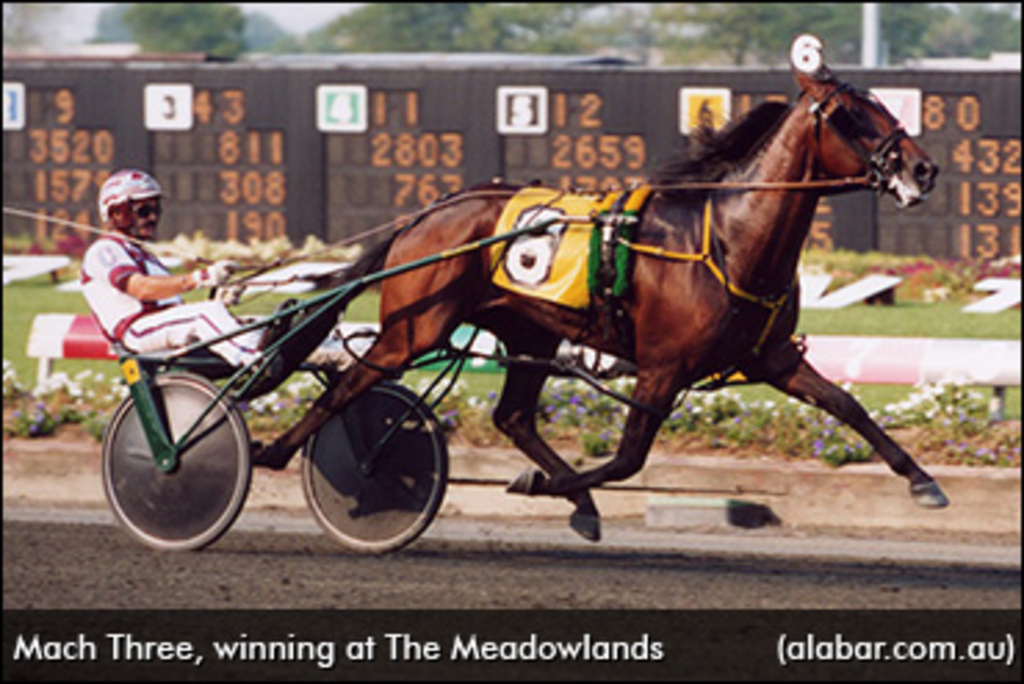 mach-three-meadowlands-370.jpg