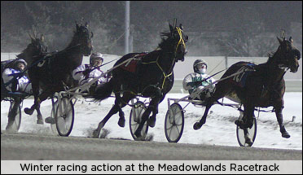 meadowlands-winter.jpg