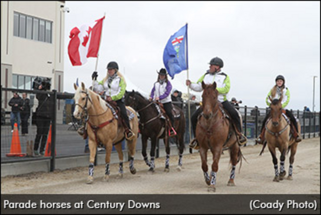 parade-horse-century-downs.jpg
