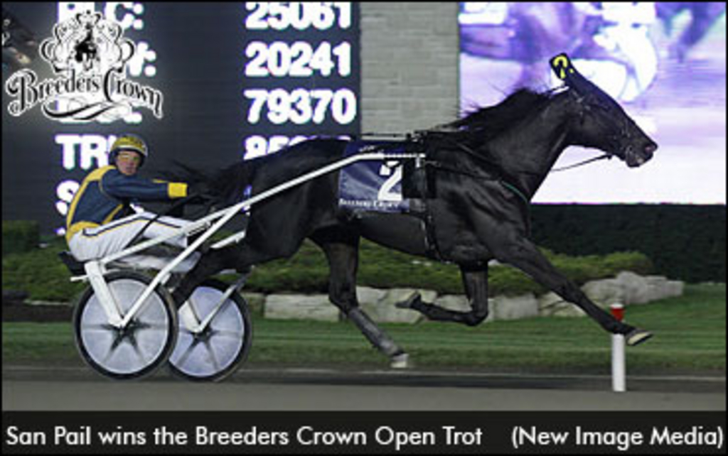 san-pail-breeders-crown.jpg