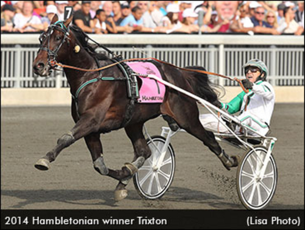 trixton-hambletonian.jpg