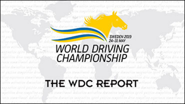 2019-WDC-Report-370px.jpg