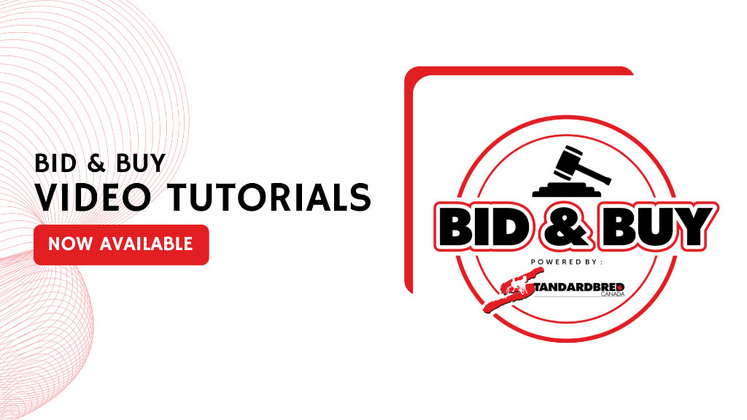 Bid & Buy video tutorials now available