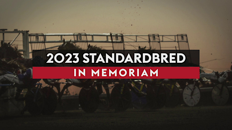 2023 Standardbred In Memoriam