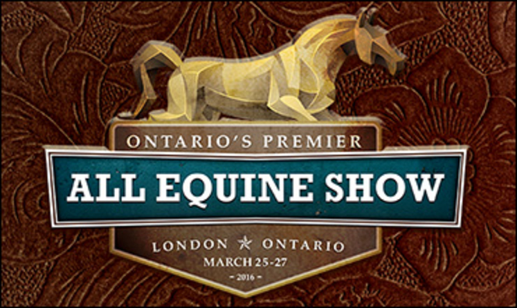 all-equine-show-370.jpg