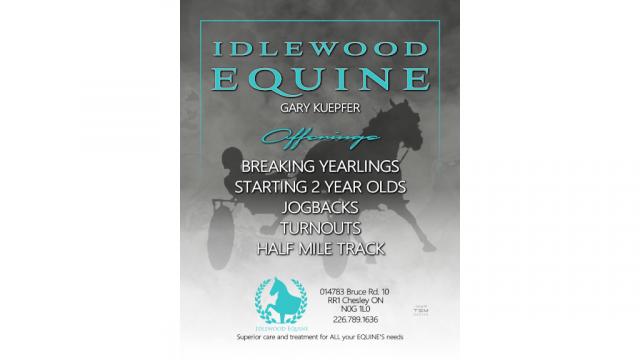 Idlewood Equine