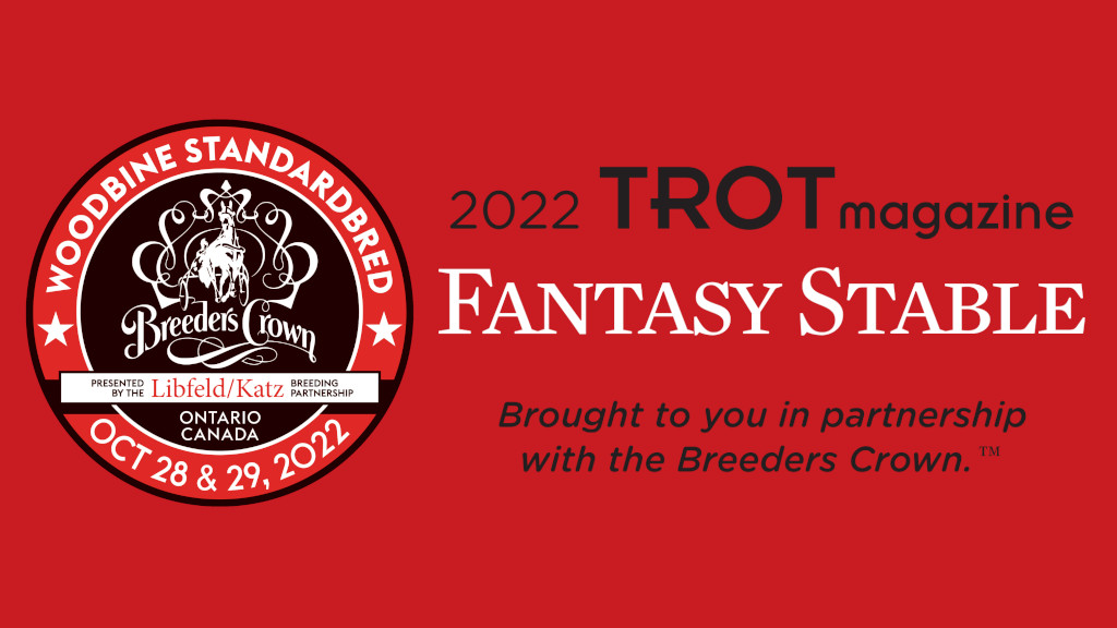 Fantasy Stable