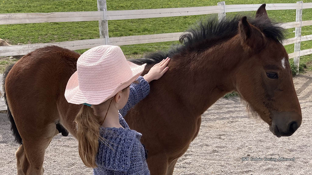 A young girl with a foal at the Rankins' Open House