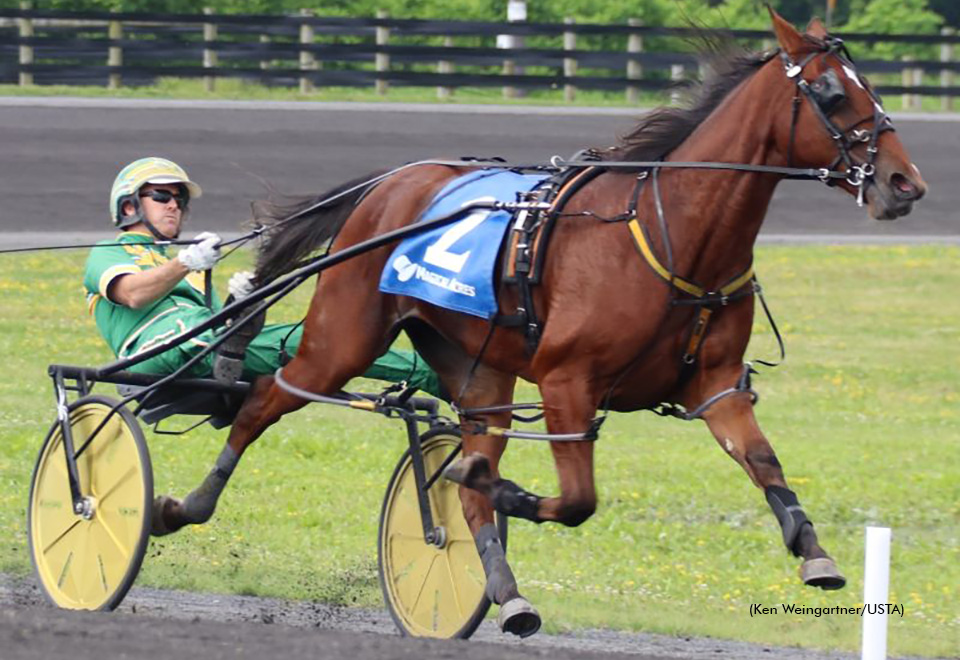 Absolute Power winning her qualifying debut at Magical Acres