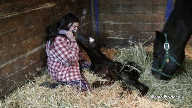 Emma Christoforou and foal
