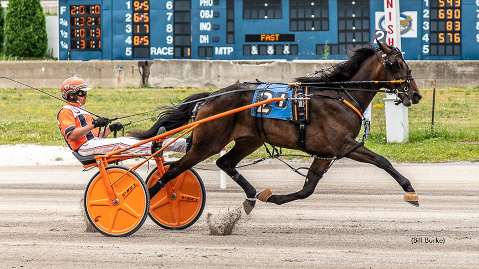 Met Your Request winning at Buffalo Raceway