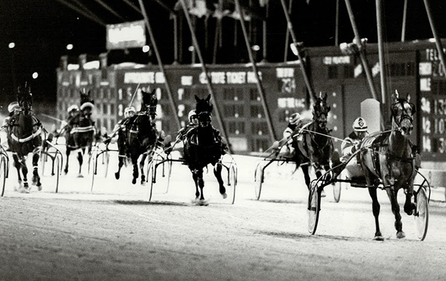 Harness horses race down a track