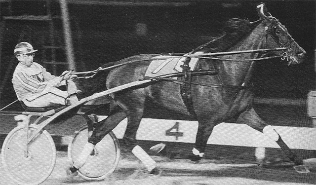 A harness horse racing