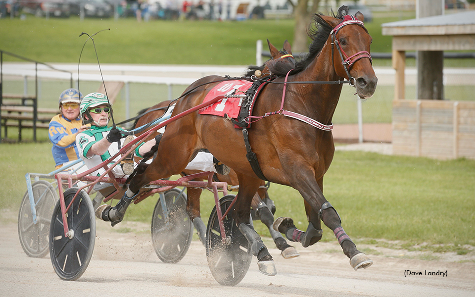 Power And Grace and drive Doug Brown winning the Legends Day Trot