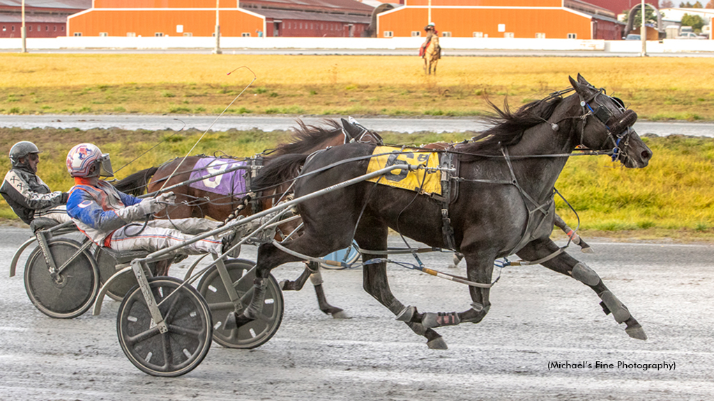 Shoot The Whiskey winning the Mary Murphy Memorial Stakes