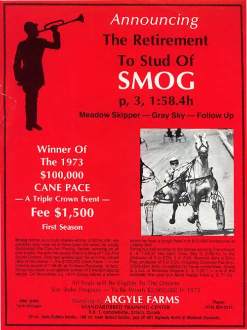 Stallion ad for Smog