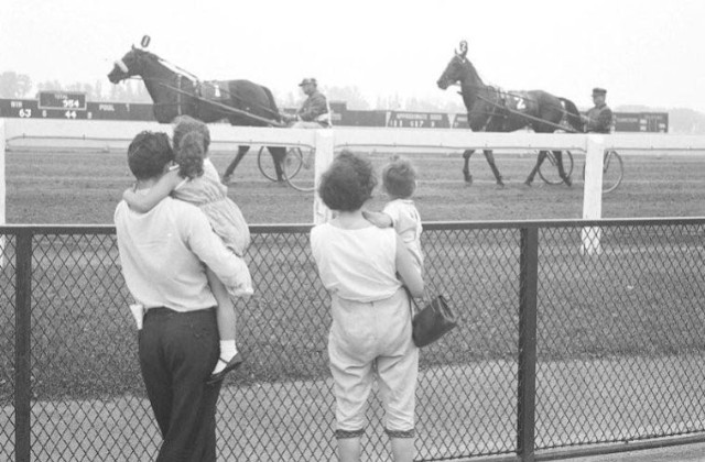 Summer racing at Old Woodbine