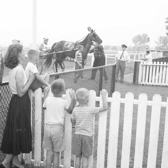 Summer racing at Old Woodbine