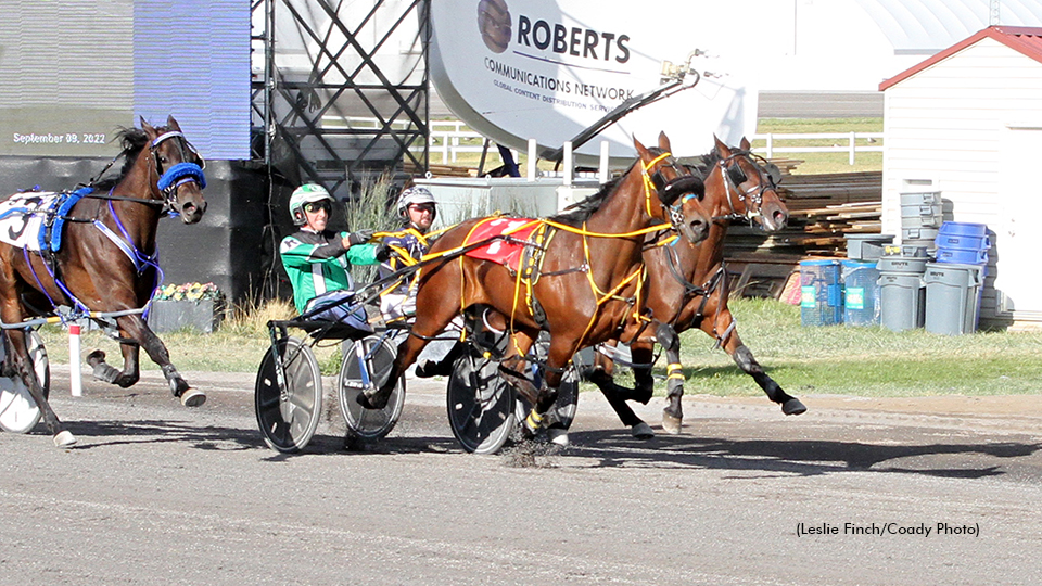Tin Can Timmy winning at Century Downs
