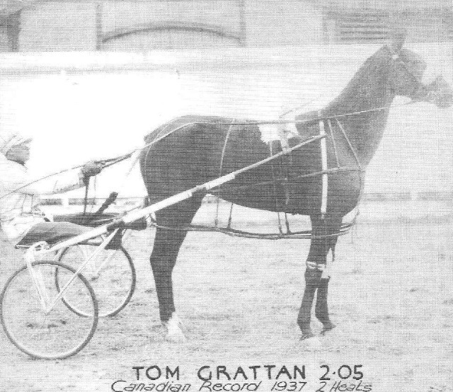 Tom Grattan