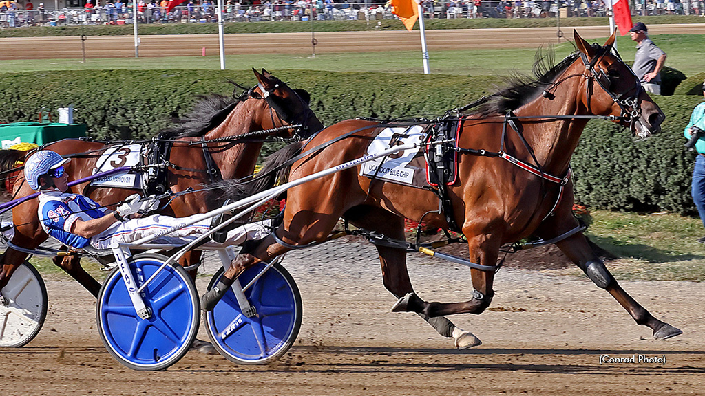 Ucandoit Blue Chip winning her Jugette elimination