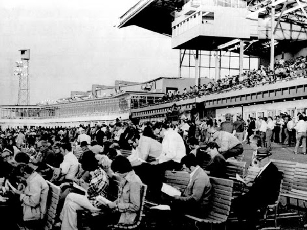 Where Is It photo question