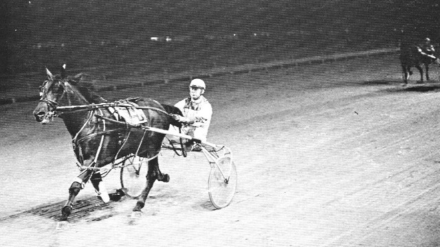 Who Else Is It photo question