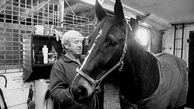 A man with a horse in a barn