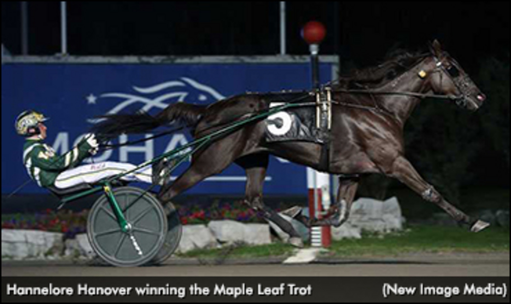 %2F_______09 HANNELORE HANOVER.jpg