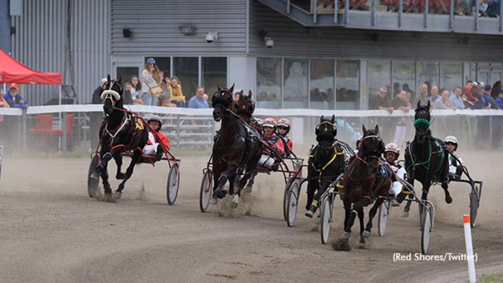 Harness Racing at Charlottetown Driving Park