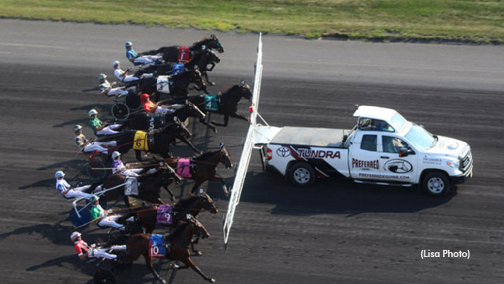 A rooftop view of horses behind the gate at The Meadowlands