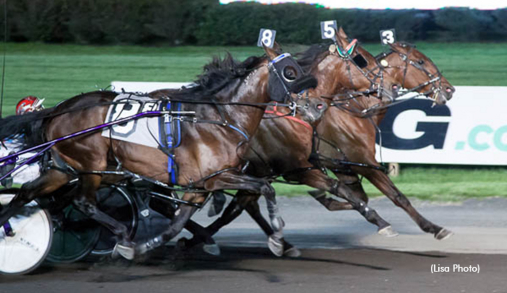 Poseidon Seelster in the Graduate Series at Meadowlands