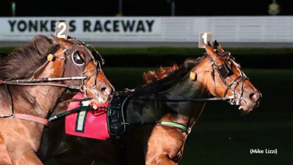 Harness racing at Yonkers Raceway