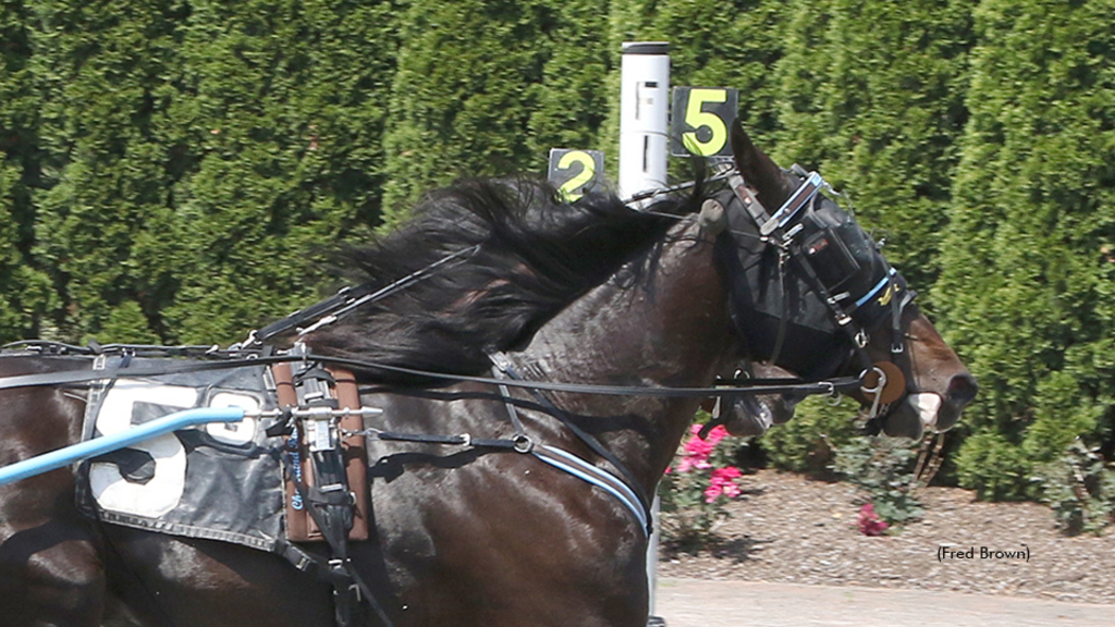 Blue Hunt winning at Tioga Downs