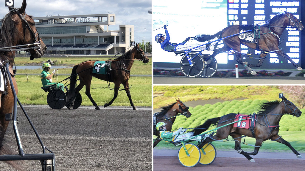 Qualifiers at The Meadowlands included Pebble Beach and Treacherous Dragon