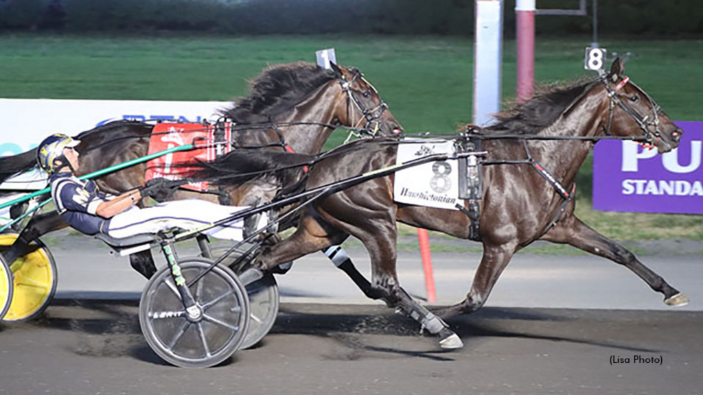 Warrawee Xenia winning her Hambletonian Oaks elimination